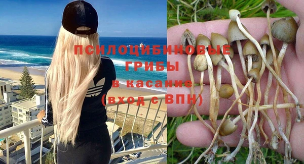 альфа пвп Сосновоборск