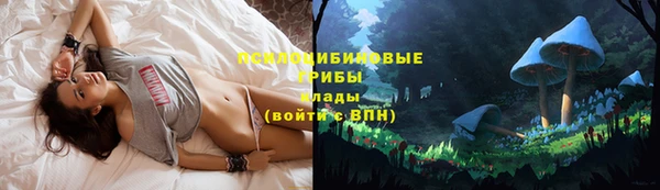 мяу мяу мука Сосновый Бор