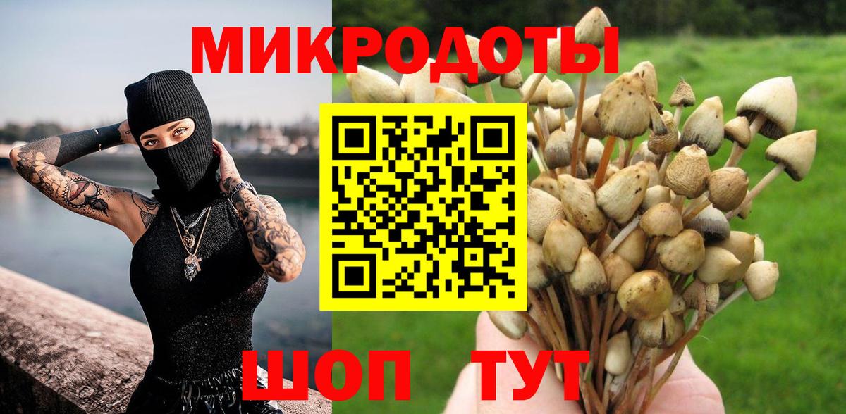 Галлюциногенные грибы Magic Shrooms Томск