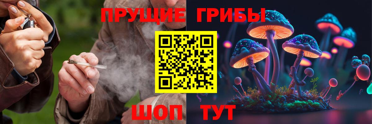 Псилоцибиновые грибы Psilocybine cubensis  Вход с VPN  где продают наркотики  Псилоцибиновые грибы Psilocybine cubensis  Томск 